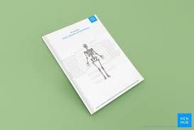 Why is anatomy important in medicine? Skeletal System Quizzes Learn Bone Anatomy Fast Kenhub