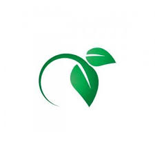 Green Leaf Logo Icon Design Template Vector Leaf Clipart Logo Icons Leaf Icons Png And Vector With Transparent Background For Free Download Leaf Logo Logo Icons Icon Design
