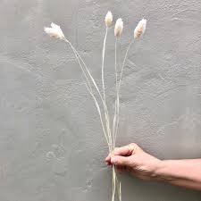 Maybe you would like to learn more about one of these? Phalaris Dried Dried Flowers Diy Dried Flower Bouquet Boho Style By Flower Pearl