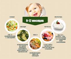 меню ребенка в 1 год 4 месяца на неделю Pitanie Rebenka 9 12 Mesyacev Racion Pitaniya Menyu Eda Dlya Malysha Recepty Detskogo Pitaniya Detskaya Eda