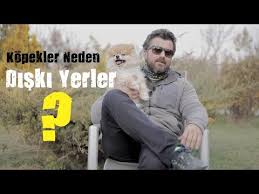 Kopekler Neden Kaka Yer Youtube