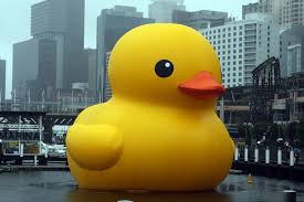 Watch Listen And Observe Giant Rubber Duck Missing Rubber Duck Duck Rubber Ducky