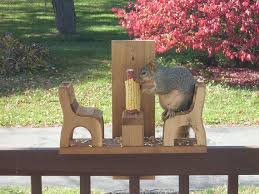 Squirrel Feeder Etsy Squirrel Feeder Squirrel Feeders Squirrel Feeder Diy