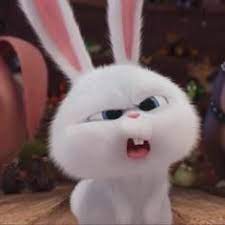 Kumpulan gambar kartun binatang kelinci himpun kartun. 26 Ide Kelinci Gemoy Gambar Kelinci Kelinci Kartun