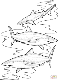 We did not find results for: Shark Coloring Pages Printable Free Astro Blog