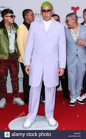 How to book bad bunny? Bad Bunny Stockfotos Und Bilder Kaufen Alamy