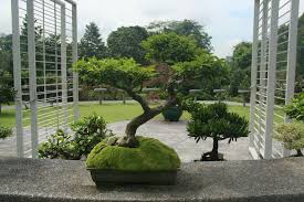 Inaugurado en 2011, 18 bonsai garden resort es un punto de referencia en rayong y siempre una 18 bonsai garden resort. Bonsai Garden Centre Preston Oklahoma Home