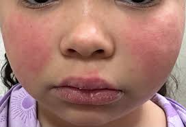 Kelly Elizabeth Day added a new photo.