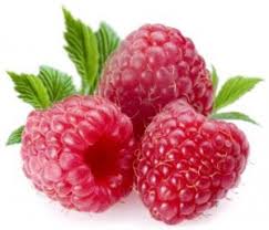 However, these tiny berries pack a punch and should only be given to your pup in moderation. Go Easy When Giving Your Dog Raspberries Here S Why
