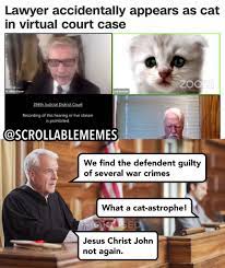 Find and save lawyer cat memes | from instagram, facebook, tumblr, twitter & more. Cat Astrophic Lawyer Memes