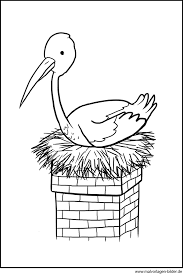 Nun können sie entweder den gewünschten umriss aus einem blatt papier ausschneiden und in eine klarsichthülle schieben und nach dem umriss bekleben. Storch Im Storchennest Ausmalbild Fur Kinder