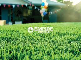 For a lawn with a fine, soft leaf and excellent wear tolerance, look no further than empire zoysia turf. Empire Zoysia Grass Lawn Guide Myhometurf