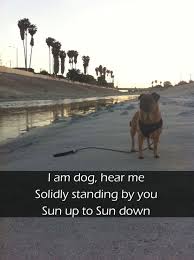 I Am Dog Japanese Poem Haiku Poetry