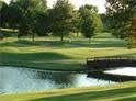 Metropolitan Open Championship