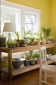 Indoor Plant Table Plant Table Indoor Garden Garden Table