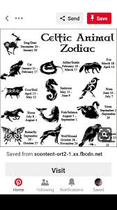 Pin By Una Black On Aaa Temporary Board Cat Tattoo Zodiac Signs Funny Zodiac Signs