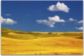 You Ll Remember Me When The West Wind Blows 