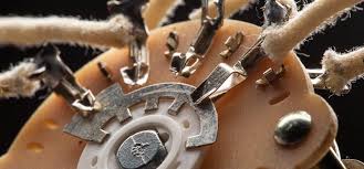 Check spelling or type a new query. Seymour Duncan Blog Guitar Pickups Bass Pickups Pedals