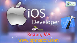Pin On Opt Nation Opt Jobs In Usa