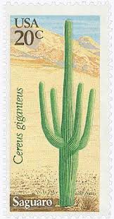 841 cactus stamp products are offered for sale by suppliers on alibaba.com, of which stamps accounts for 1%. 1981 20c Desert Plants Saguaro For Sale At Mystic Stamp Company