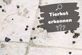Maybe you would like to learn more about one of these? Kot Im Garten Und Auf Terrasse Welches Tier War Es Gartenlexikon De