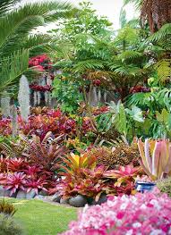 Garden Of The Week A Dazzling Bromeliad Rich Oasis Bromeliadrich Dazzling Garden Oasis In 2020 Tropical Garden Design Beautiful Flowers Garden Flower Landscape