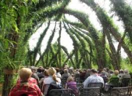Rent Sound Systems Microphone And Lighting For Outdoor Church Services Az Outdoor Church Service Sound Equipment Pa Rental Phoenix Az