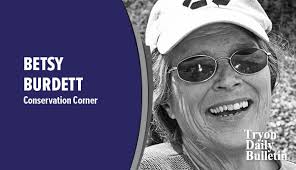 Anna Morton awarded Rotary scholarship