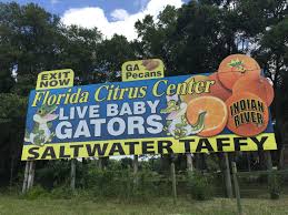 Pin By Diane Louise On Places I Lived I Did And I Visited All Photos Taken By Me Florida Citrus Cereal Pops Pops Cereal Box
