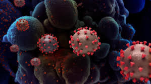 The post o nouă tulpină de coronavirus în m. C8kaokrqc8nhym