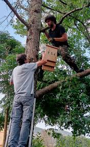 JTB Bruno Mattei - 53 Classic Movies (Comedy) - a collection of cinematic delights