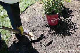 Check spelling or type a new query. How To Design A Small Rose Garden Hoosier Homemade