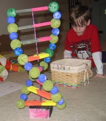 Pin By Sarah Hill On Biology Dna Model Project Cells Project Dna Model