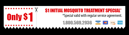 Whether you need denham springs pest control or termite control in baton rouge, arceneaux pest can help. Pest Control Baton Rouge Louisiana Arrow Termite And Pest Control