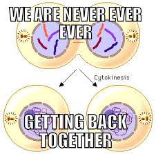 Mitosis Humor Biology Humor Teaching Biology Biology Jokes