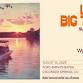 Little Big Town