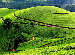 20 Summer Holiday Destinations in India ...