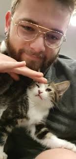 What are funny names for a metal katydid?