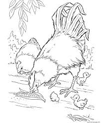 Print Realistic Hen And Rooster Farm Animal S7cc5 Coloring Pages Farm Animal Coloring Pages Farm Coloring Pages Chicken Coloring Pages