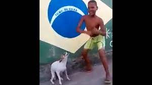 Brazilian Dog Dancing Hilarious Youtube