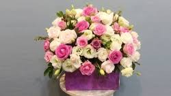 Thế là mùng 8/3 năm nay anh không được ở bên em rồi. H Xnob2dbvgrnm