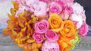 Maybe you would like to learn more about one of these? Especially For You Salt Lake City Ut 84101