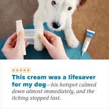 Image result for hotspot dogs