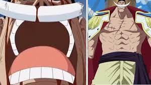 One piece is real meme uncensored