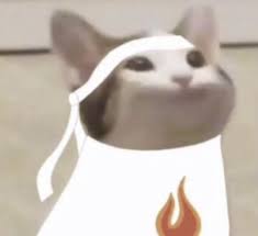 | daily update, we are 11'th! Sapnap In 2021 Pop Cat Anime Cat Dream Friends