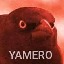 Yamero Know Your Meme Yamero is a word often used in japanese anime. yamero know your meme