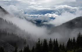Wallpaper The Sky Nature Clouds Mountains Trees Forest Spruce Usa Landscape Nature Clouds Sky United States Landscape Cloudy Mountains Images For Desktop Section Pejzazhi Download