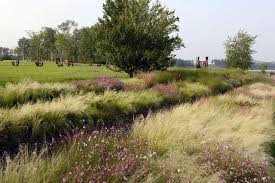 Gartenkonzepte Gartenplanung Janke Peter Gartenkonzepte Gartenplanung Janke Peter C Peter Janke Gartenko Garden Planning Landscape Design Garden Design