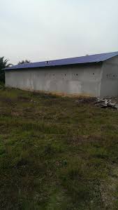 Reka bentuk bangunan perlulah berdasarkan kepada kehendak dan keperluan burung bagi men jamin. Pakar Rumah Burung Walet Dari Malaysia Facebook