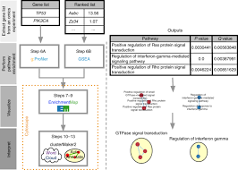 And the presidential management fellows program that offers leadership. Pathway Enrichment Analysis And Visualization Of Omics Data Using G Profiler Gsea Cytoscape And Enrichmentmap Nature Protocols